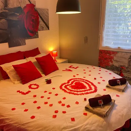 아파트 Joli T2, Jacuzzi, Lit Rond, Jardin, Parking Prive, Metro *